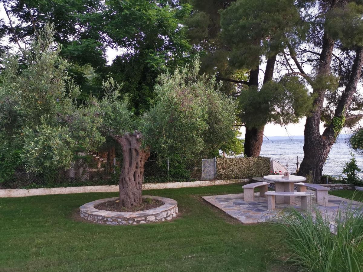 Ca' Del Mare 35M2 Villa Kalogria  Exteriör bild