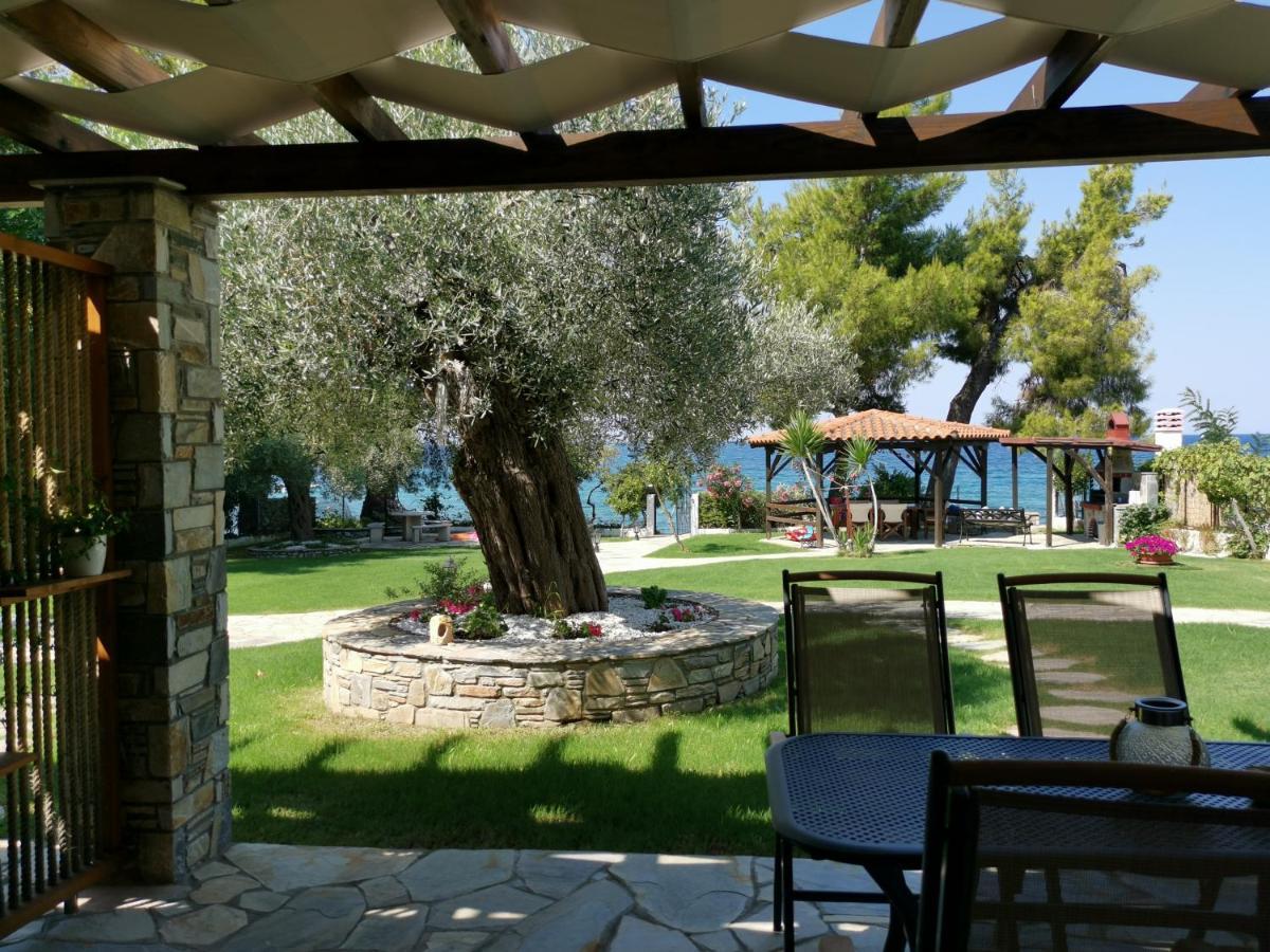 Ca' Del Mare 35M2 Villa Kalogria  Exteriör bild